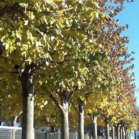 Gasthuis Vitoria's House Vila Nova de Famalicão