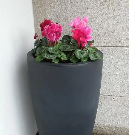 Vendégház Vitoria's House