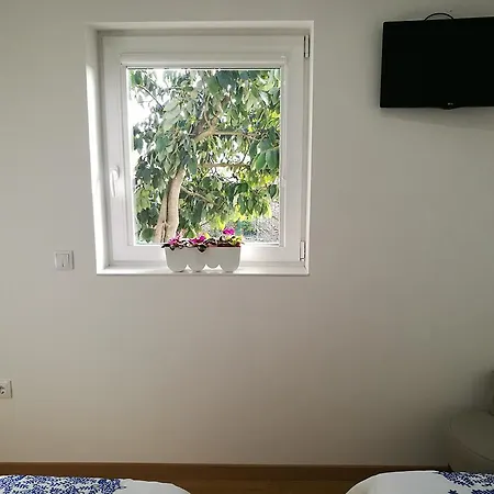 Vitoria's House Guest house