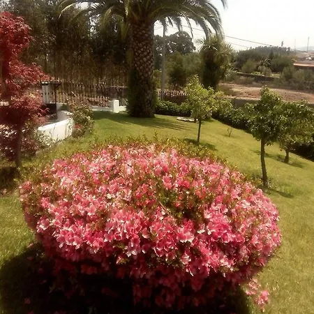 Vitoria's House Гостевой дом 3*