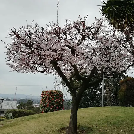 Gasthuis Vitoria's House