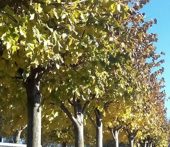 게스트하우스 Vitoria's House 빌라노바데파말리카오