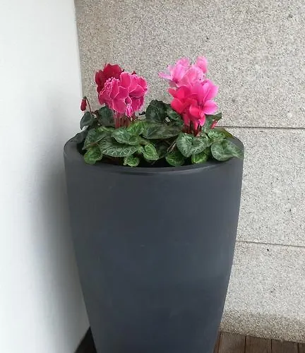 게스트하우스 Vitoria's House