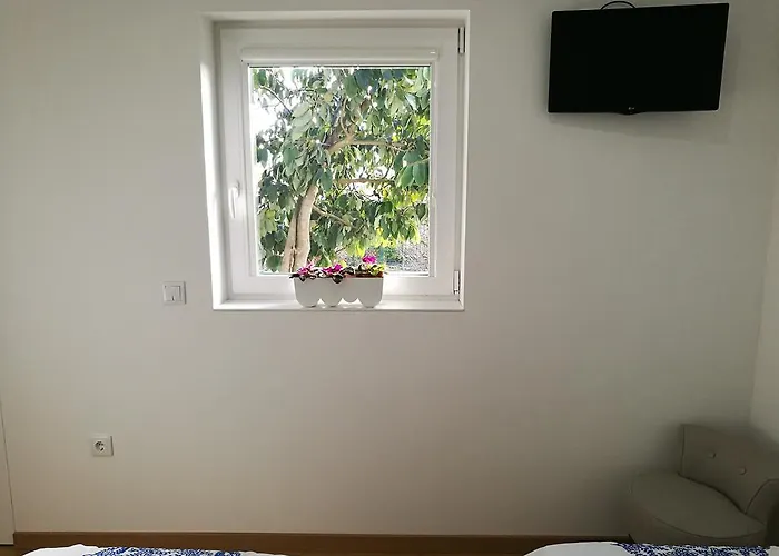 Vitoria's House 게스트하우스