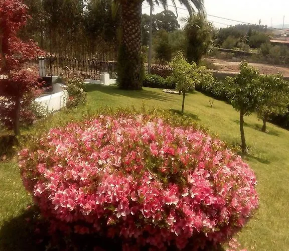 Vitoria's House 게스트하우스 3*