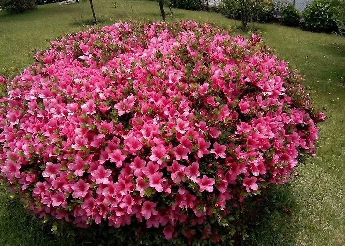 Vitoria's House 빌라노바데파말리카오