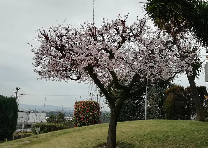 게스트하우스 Vitoria's House